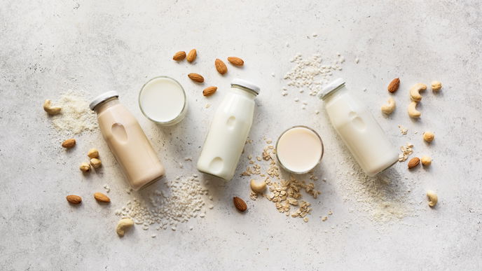 Alternative zu Kuhmilch: Welche ist die gesündeste?