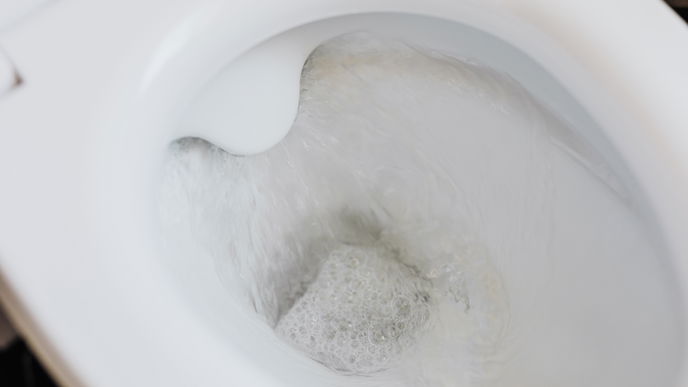 Urinstein entfernen: Tipps und Hausmittel zum Toilette reinigen