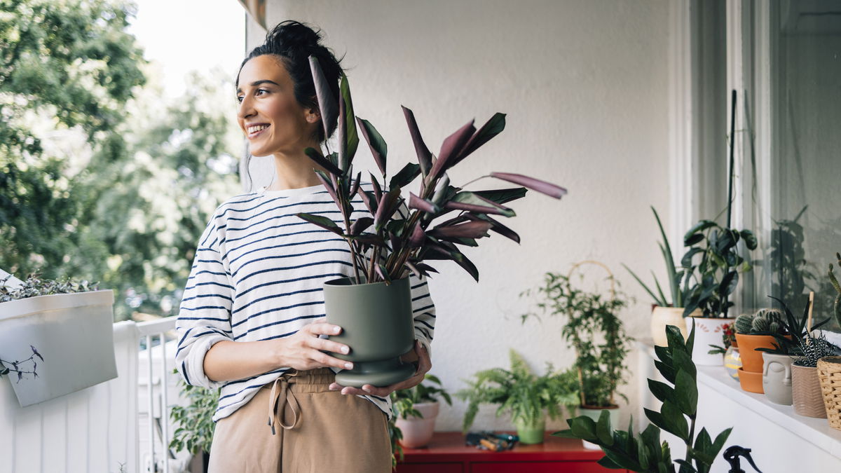 Balkon gestalten: 3 Dinge, die im Sommer zu tun sind