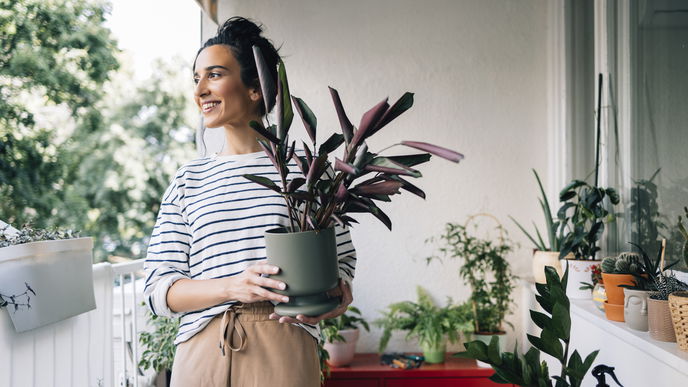 Balkon-Trends 2023: Mit diesen 5 Möbeln setzen wir Pflanzen in Szene