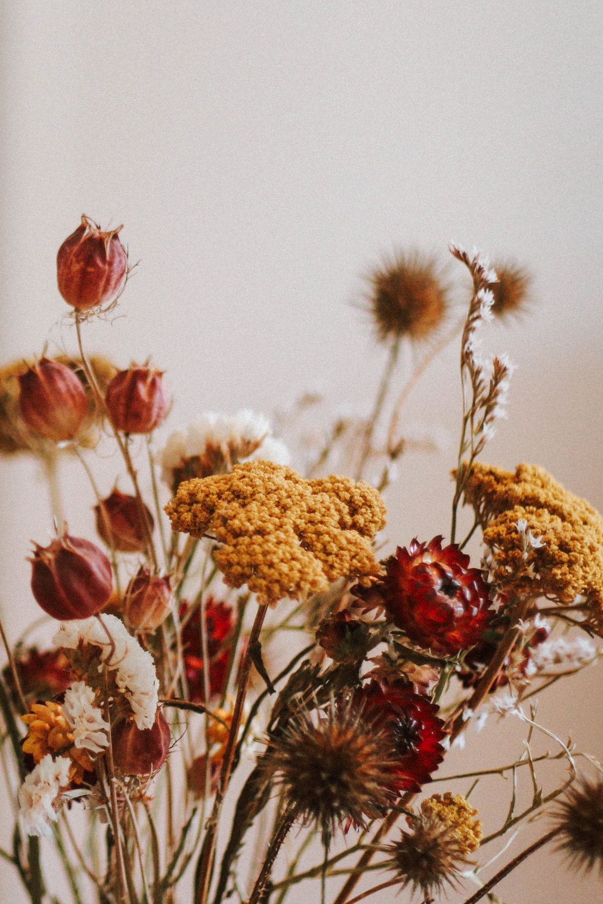 Trockenblumen