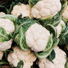 Gemüsegarten: 4 Tipps, um Blumenkohl einfach selber anzubauen