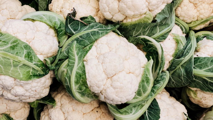 Gemüsegarten: 4 Tipps, um Blumenkohl einfach selber anzubauen