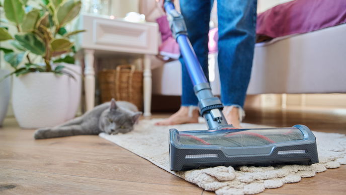 5 top bewertete Staubsauger von Amazon, die jedes feinste Haar erwischen