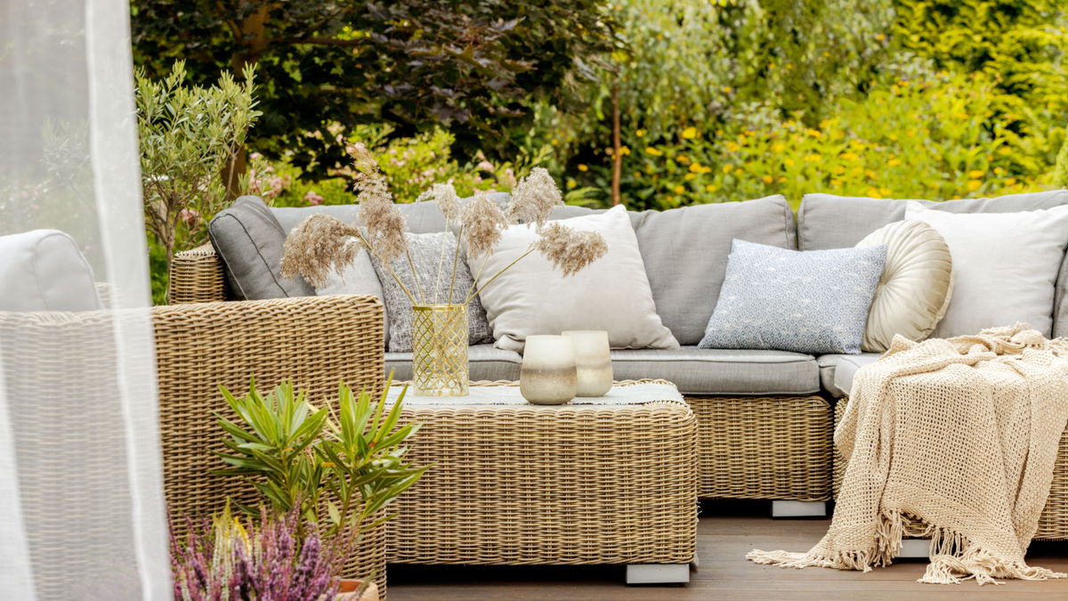 5 Pflanzen sind der perfekte Sichtschutz für die Terrasse