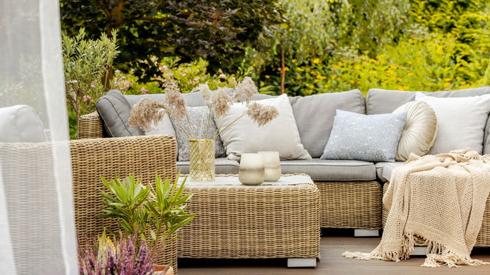 5 Pflanzen sind der perfekte Sichtschutz für die Terrasse