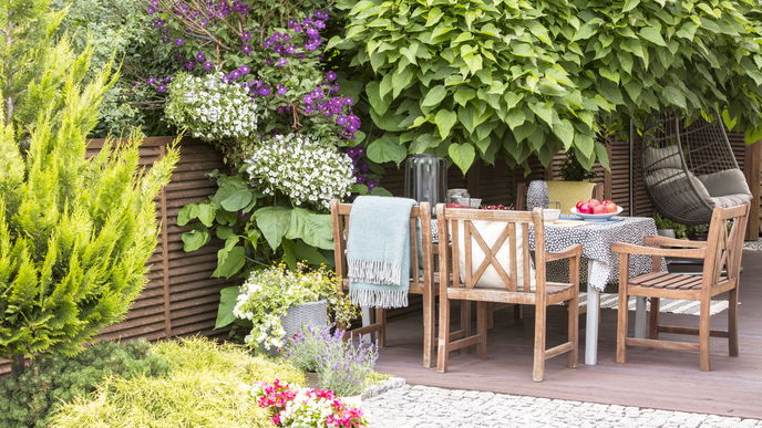 Terrasse gestalten: 4 Pflanzen, die ohne Sonne auskommen