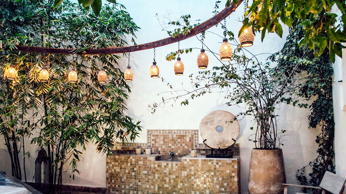 Terrasse gestalten: 4 Pflanzen, die sofort für Urlaubsstimmung sorgen