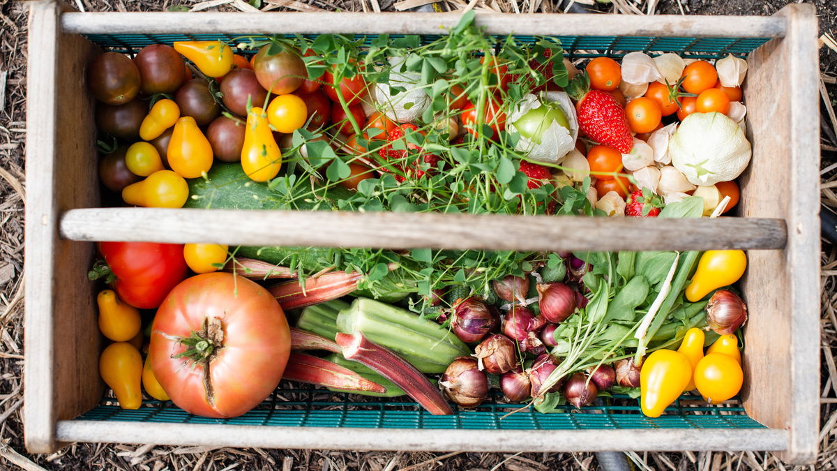 Gemüsegarten: 5 Fehler, die wirklich jeder macht