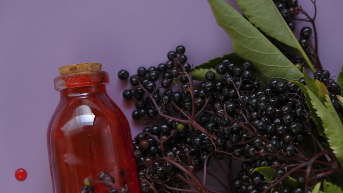 Holunderbeeren-Suppe: Klassisches Rezept für den Herbst