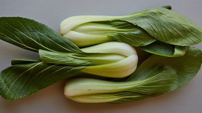 Der Spitzkohl: Wissenswertes + Rezept 