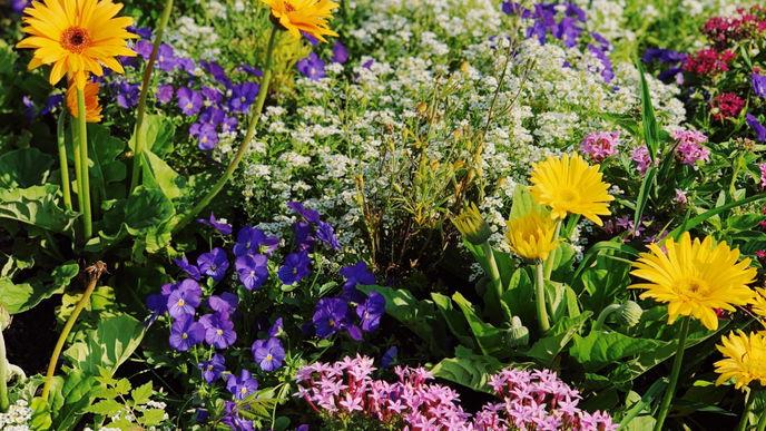 Bewässerungssystem für den Garten: Ollas sind der Geheimtipp bei Hitze
