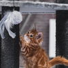 Katzenspielzeug: Die besten fliegenden Vögel