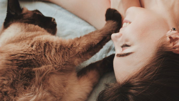 Bestes Katzenspielzeug: Damit langweilt sich Ihre Katze nie wieder