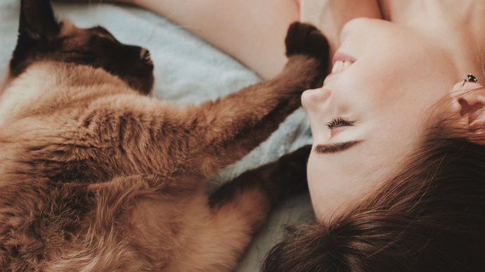 Weltkatzentag 2023: 3 Gründe, warum wir Katzen lieben
