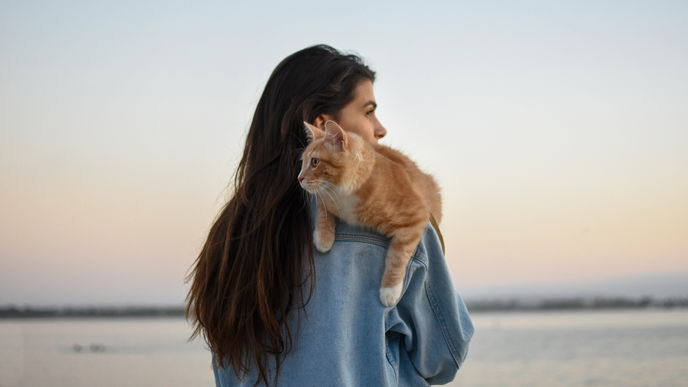 3 Dinge, mit denen Ihre Katze "Ich liebe dich" sagt