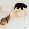Ikea-Hacks: 5 Ideen, die Katzen lieben werden 