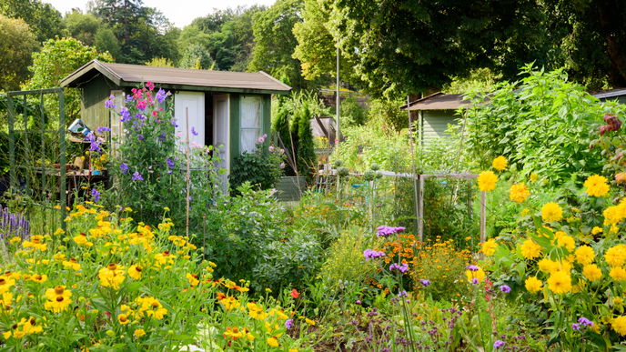 Schrebergarten mieten: 3 wichtige Tipps vor der Pacht