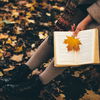 Die 6 besten Spiegel-Bestseller für den Herbst