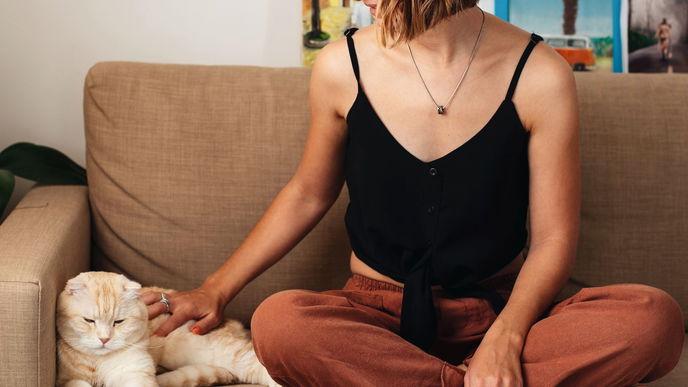 3 Katzenrassen, die kaum Haare verlieren