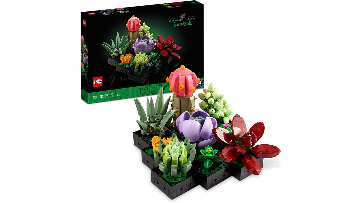 Sukkulenten von Lego
