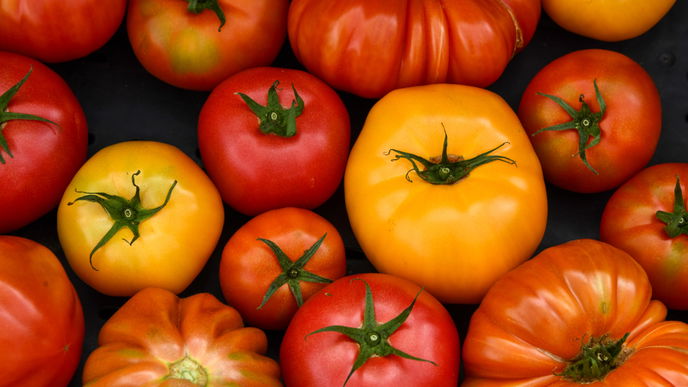 Welche Tomaten sind die besten für Bruschetta?