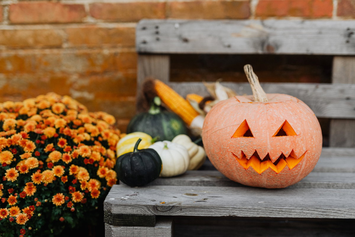 Halloween-Kürbis