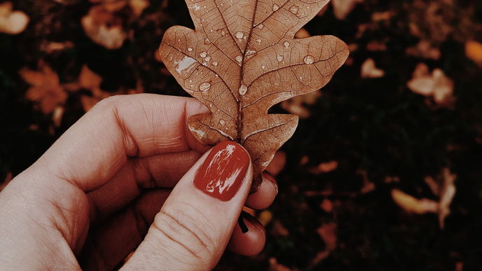 Spice Nails sind im Herbst absolut angesagt