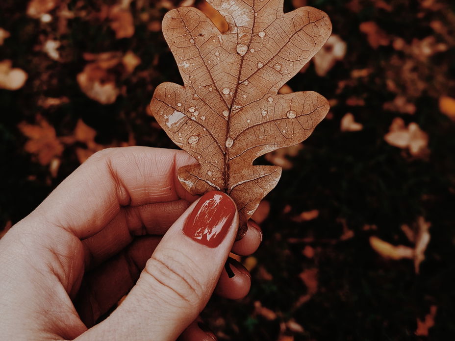 Spice Nails sind im Herbst absolut angesagt