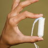 Pflanzen-Trick: So rettet ein Tampon Ihre Zimmerpflanze