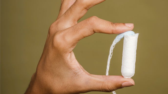 Pflanzen-Trick: So rettet ein Tampon Ihre Zimmerpflanze