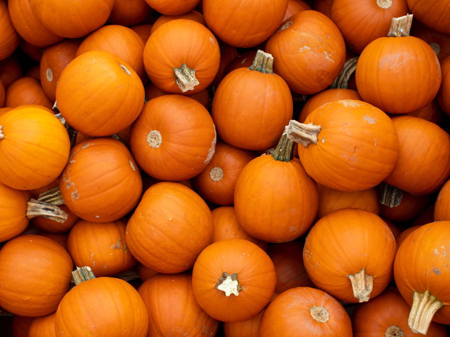 Statt Schnitzen: Halloween-Kürbis in 5 Minuten verschönern