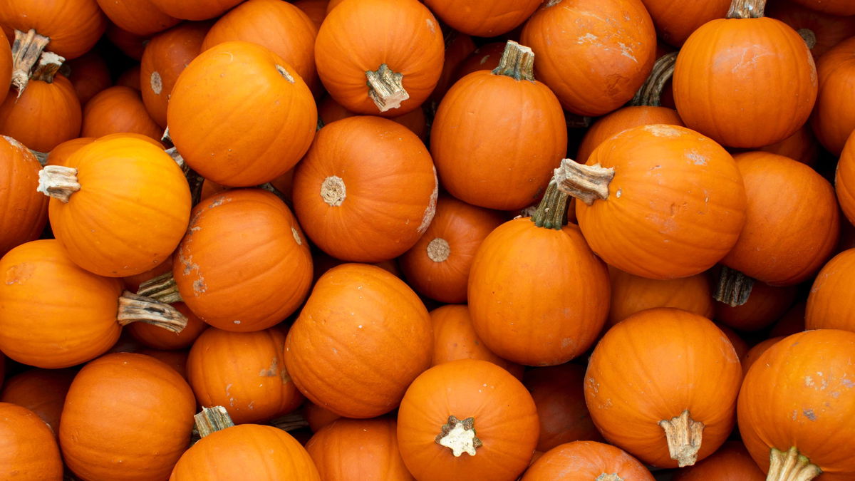Statt Schnitzen: Halloween-Kürbis in 5 Minuten verschönern