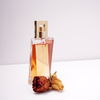 Diese 4 Bio-Parfums können auch mit Markendüften mithalten