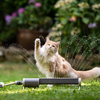 So vertreiben Sie fremde Katzen endgültig aus Ihrem Garten