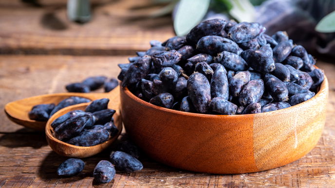 Haskap Beere: Das macht die Frucht so besonders