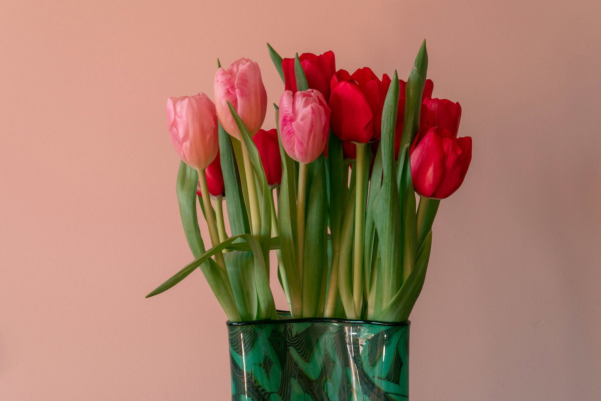 Pinke Tulpen in einer Vase