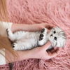 Cuteness Aggression: Wenn wir Jemanden zum Anbeißen finden