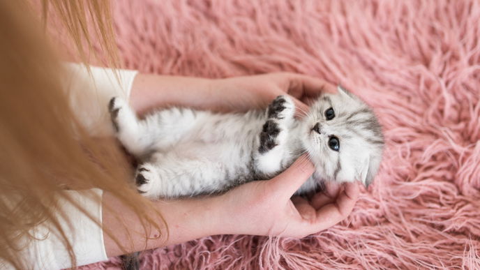 Cuteness Aggression: Wenn wir Jemanden zum Anbeißen finden