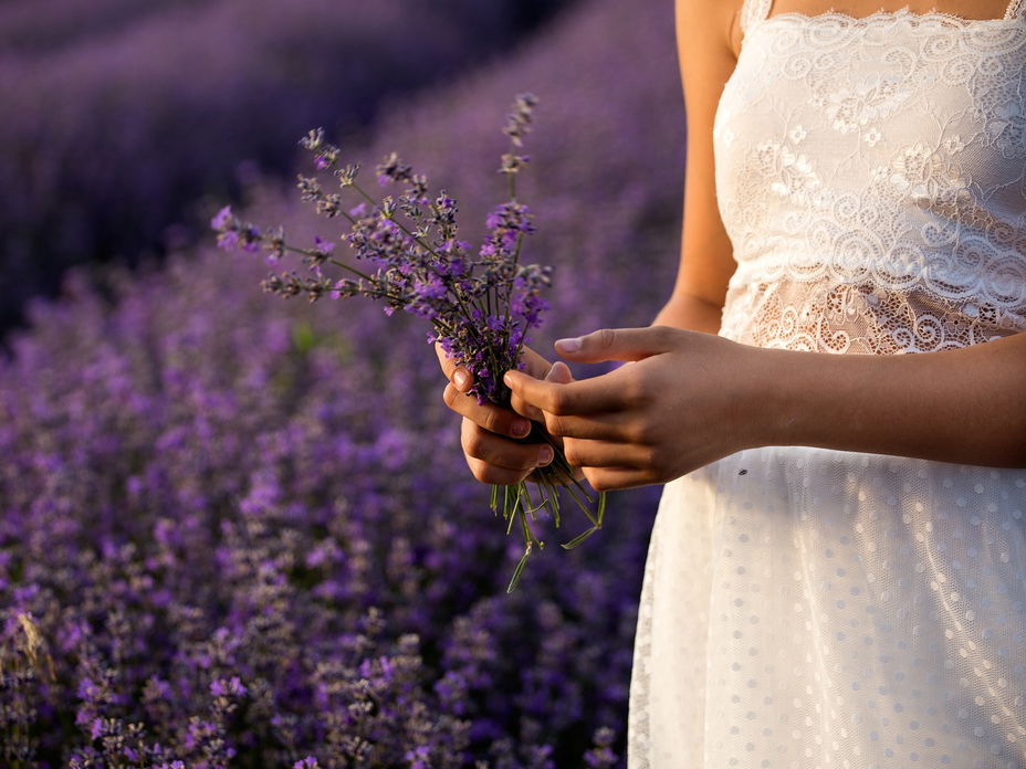 Frau hält Lavendel in der Hand