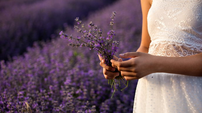Natürlich schön: Wie pflanzliche Inhaltsstoffe die Beauty-Welt erobern