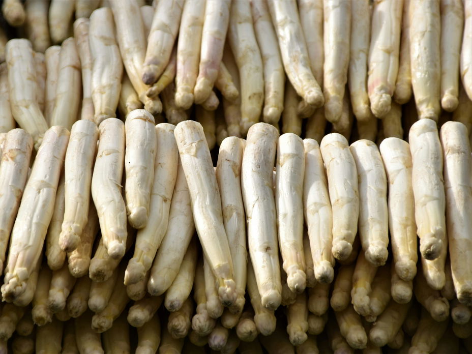 Weißer Spargel