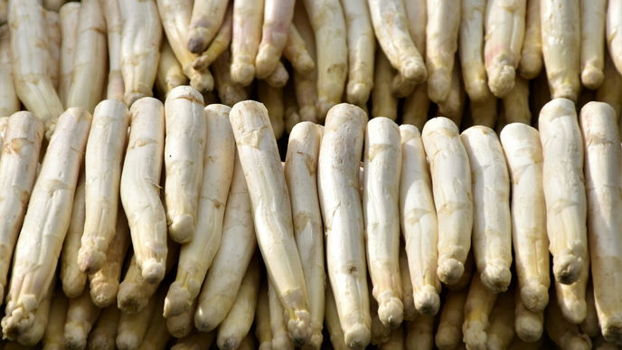 Die besten Methoden, um weißen Spargel zuzubereiten