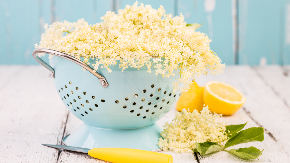 Nicht nur als Sirup ein Genuss: Diese Holunderblüten-Rezepte müssen Sie probieren