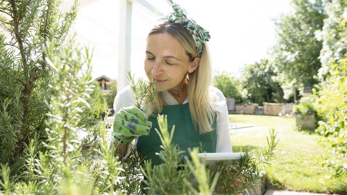 Schnellwachsende Pflanzen: Mit diesen Arten wird der Garten ruckzuck Grün
