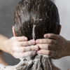 Die besten Shampoos gegen fettiges Haar: Wir haben 10 Produkte unter die Lupe genommen