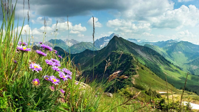Urlaub im Frühling in Deutschland: Diese 6 Reiseziele überzeugen mit atemberaubender Landschaft