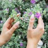 Einfache und schöne Blumen-Nageldesigns zum Selbermachen