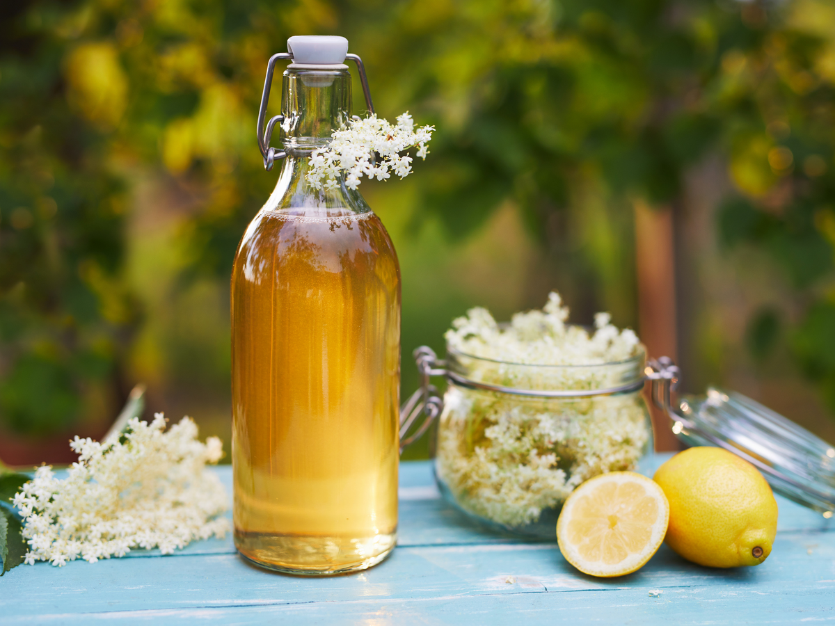 Selbst gemachter Holunderblütensirup