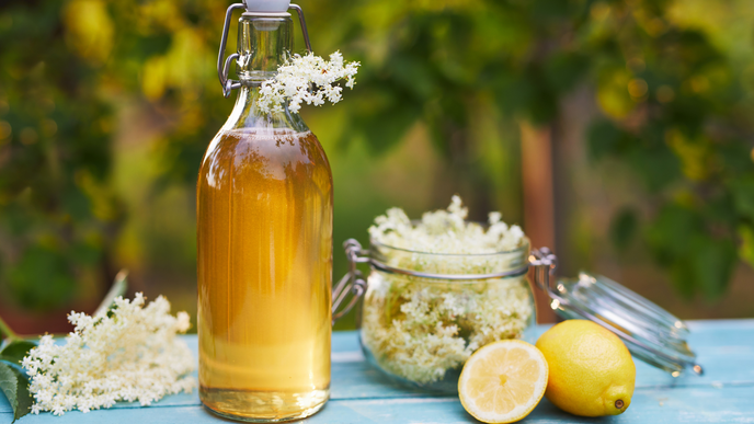 Holunderblütensirup selber machen - nach original Landfrauen-Rezept